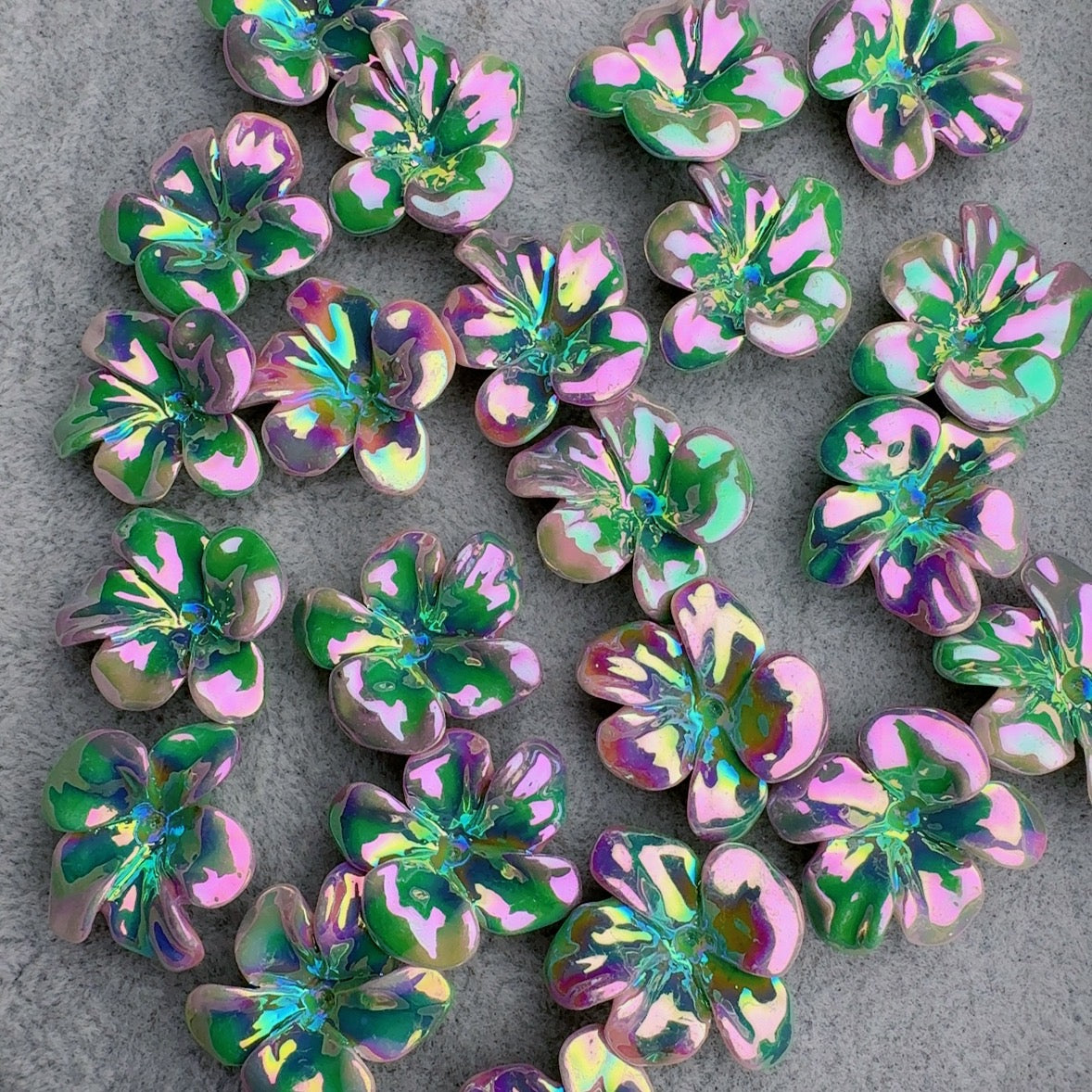 Frangipani
