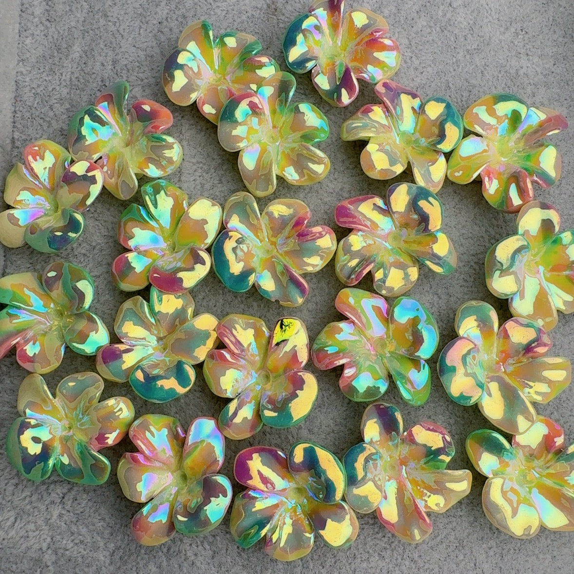 Frangipani