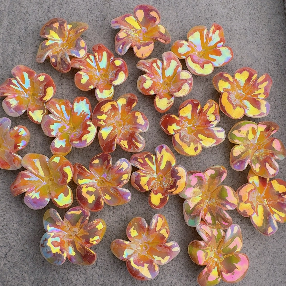 Frangipani