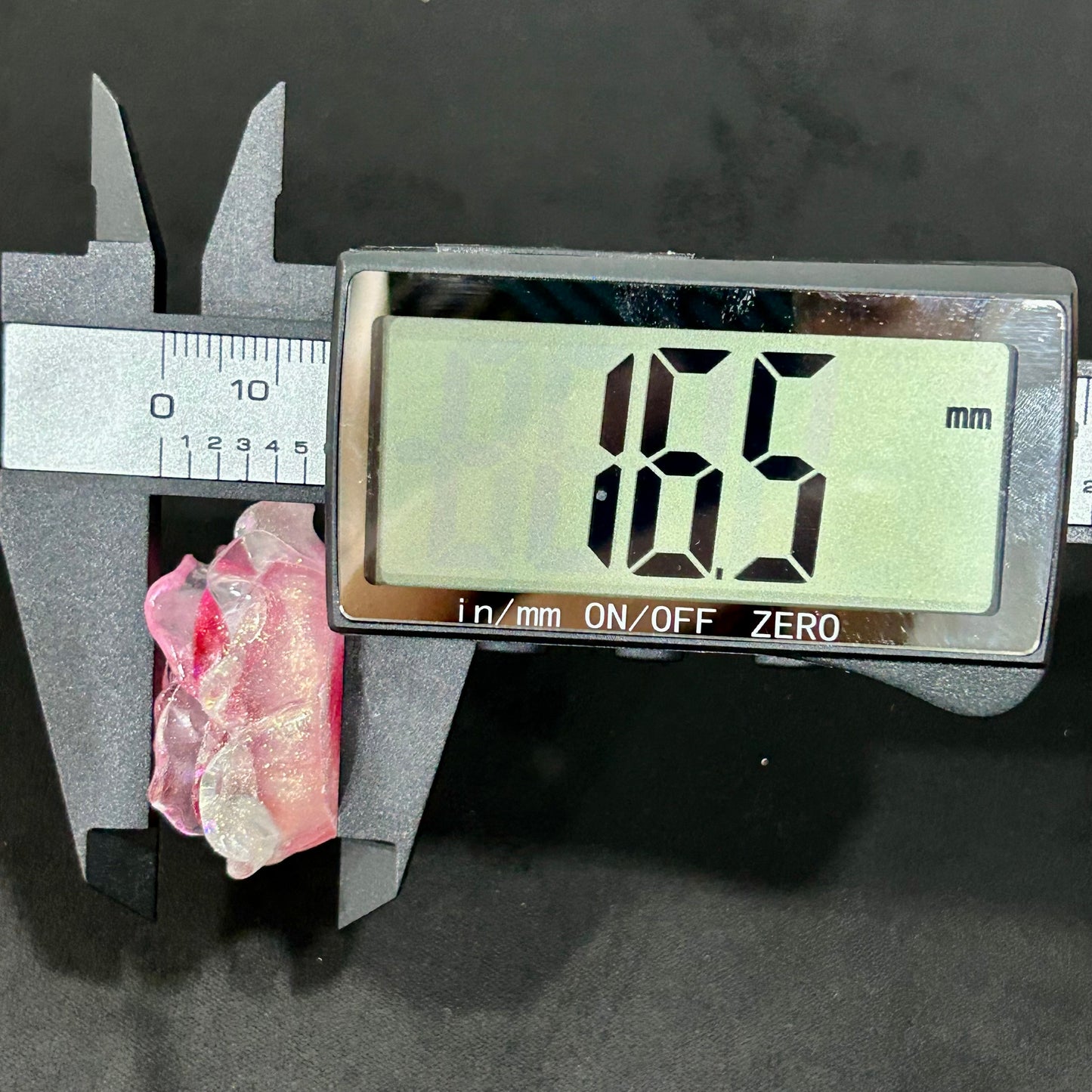サザンカ31