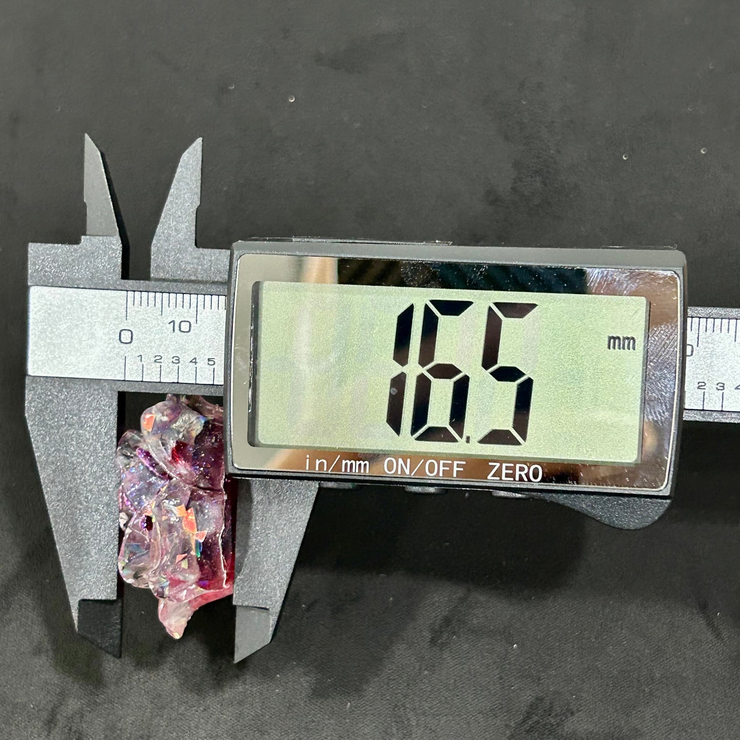 サザンカ35
